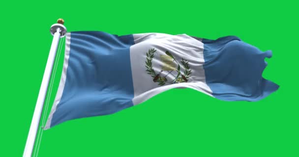Grande Bandiera Del Guatemala Sventola Nel Vento Sfondo Verde — Video Stock
