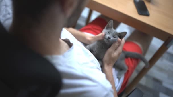 一个白人男人和他的猫玩耍的特写镜头 — 图库视频影像