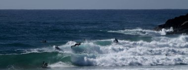Surfers on the broken head beach surf spot near Byron Bay, Australia clipart