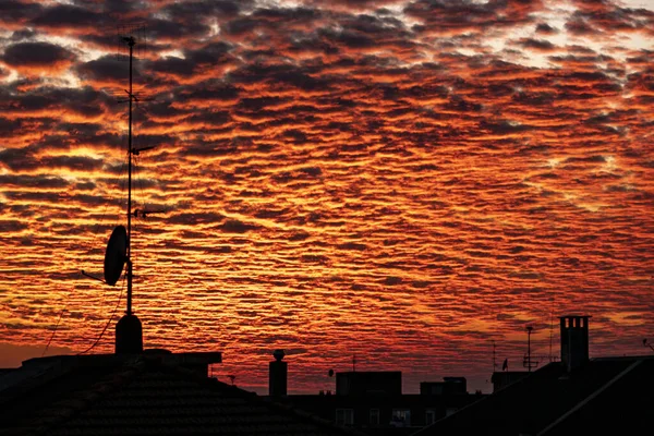 Una Vista Sorprendente Nuvole Dense Fuoco Nel Cielo Sopra Silhouette — Foto Stock