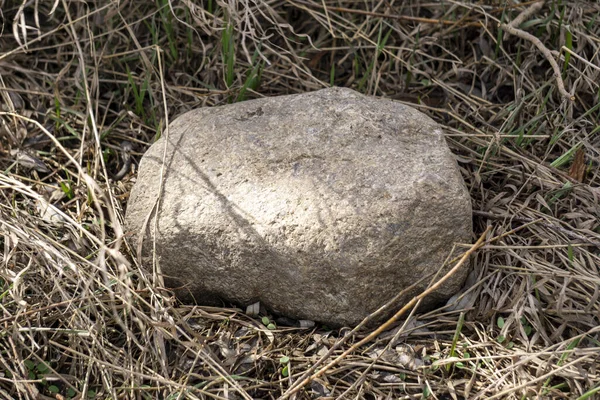 Крупный План Камня Сухой Траве — стоковое фото
