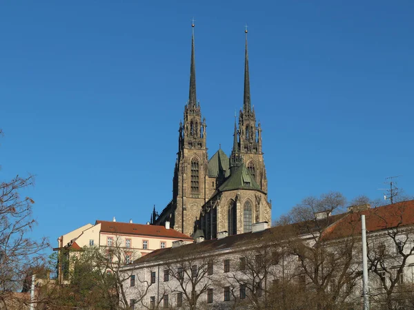 Niski Kąt Widzenia Katedrę Piotra Pawła Niebieskim Niebem Tle Brno — Zdjęcie stockowe