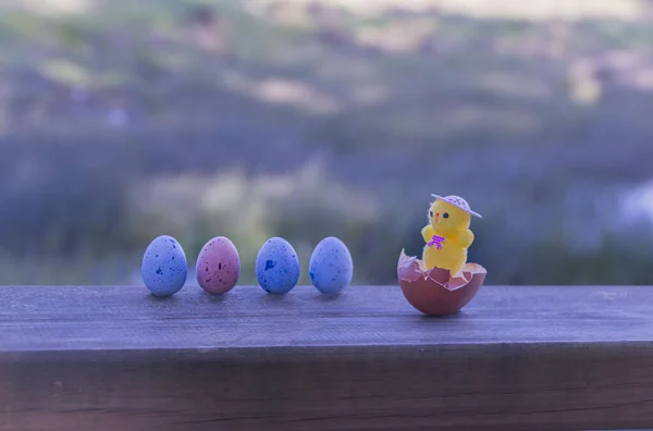 Крупним Планом Великодні Яйця Курка — стокове фото