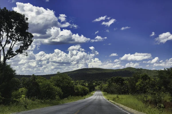 Una Strada Vuota Circondata Alberi Verdi Freschi Sotto Cielo Nuvoloso — Foto Stock