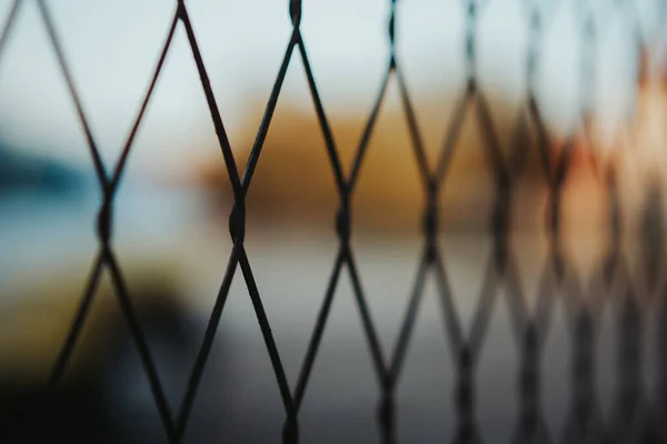 Bulanık Arkaplanı Olan Bir Kafesin Yakın Plan Çekimi — Stok fotoğraf