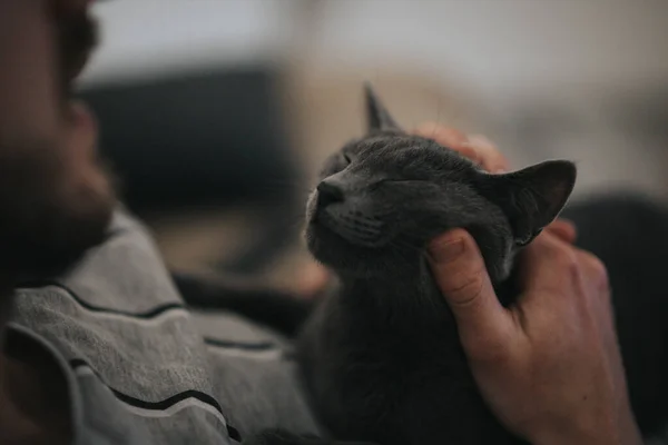 Primer Plano Hombre Acariciando Gato Peludo Negro — Foto de Stock