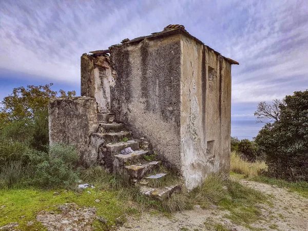 Bâtiment Abandonné Béton Altéré Milieu Une Forêt — Photo