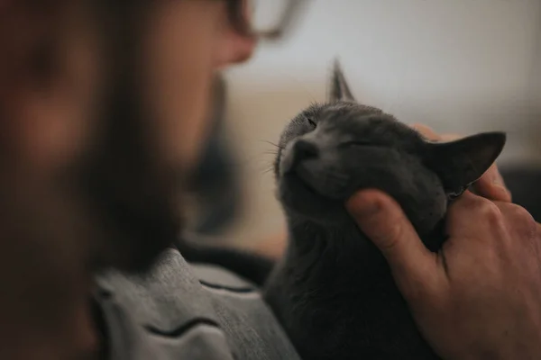 Nahaufnahme Eines Mannes Der Seine Schwarze Flauschige Katze Streichelt — Stockfoto