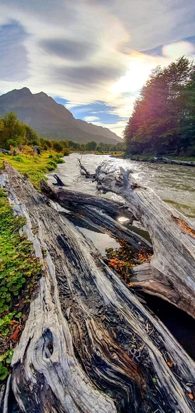 Vertikální Dechberoucí Scéna Říčních Pohoří Lesa Pozadí — Stock fotografie