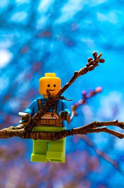 Poznan Polónia Mar 2021 Figurinha Homem Lego Pendurada Galho Árvore — Fotografia de Stock