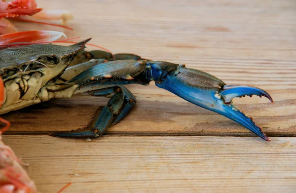 Crab, blue crab calipers, on a wooden table, fished in the aegean sea