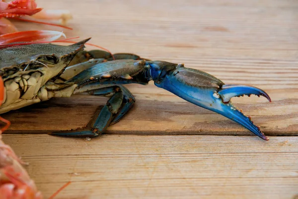 Crab, blue crab calipers, on a wooden table, fished in the aegean sea