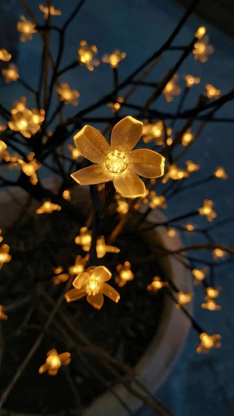 Tiro Vertical Luzes Flores Decorativas — Fotografia de Stock