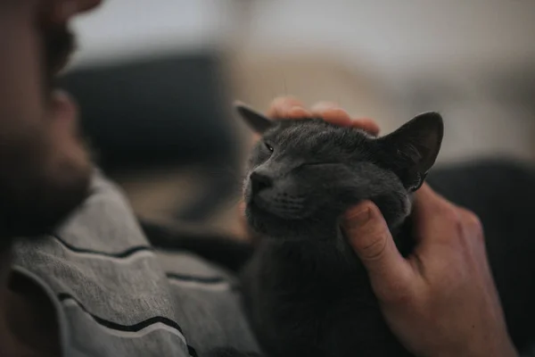 A closeup shot of a man petting his black fluffy cat