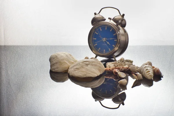 蓝色警钟的特写镜头和反射面上的贝壳 — 图库照片