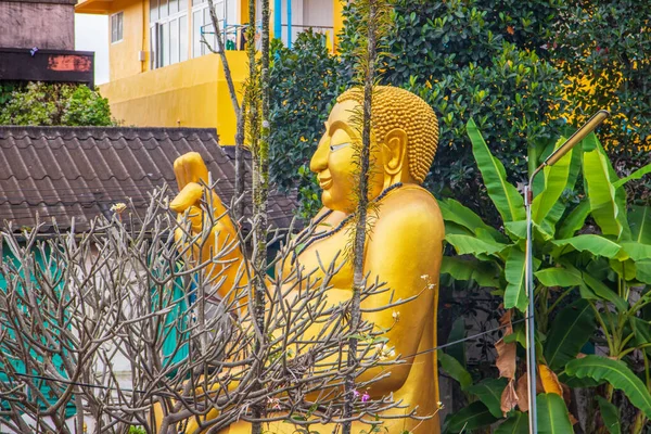 Zlatá Socha Buddhy Shakyamuni Chiang Rai Thajsko — Stock fotografie