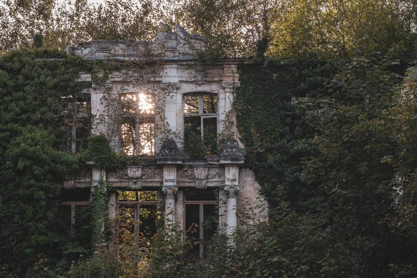 森の壁に植物を登る放棄された建物 — ストック写真