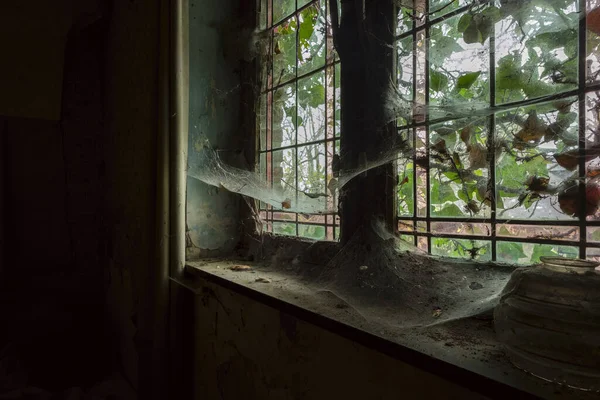 Une Fenêtre Cassée Avec Des Toiles Araignée — Photo