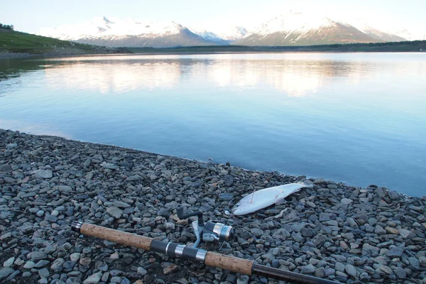 Öring Fiske Patagonien Med Andes Berg Lago Roca Nära Calafate — Stockfoto