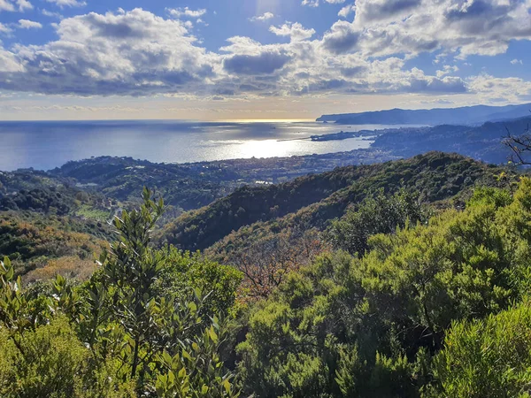 Bir Kıyı Şehrinin Arka Planında Ağaçlarla Kaplı Dağların Sakin Bir — Stok fotoğraf