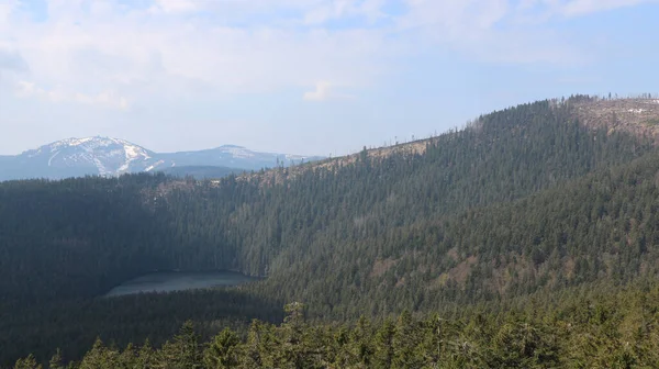 Panoramic View Large Forest Lake Mountain Grosser Arber Border Germany — Stock Photo, Image