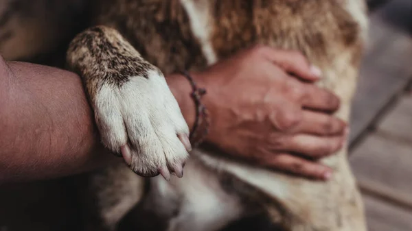 Eine Selektive Fokusaufnahme Der Pfote Eines Hundes Auf Die Hand — Stockfoto