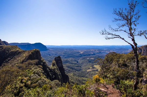 Gyönyörű Táj Serra Geral Santa Catarina Brazília — Stock Fotó