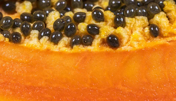 Närbild Mogen Papaya Frukt — Stockfoto