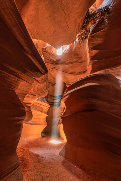 Plano Vertical Formaciones Rocosas Resbaladizas Antelope Canyon Arizona —  Fotos de Stock