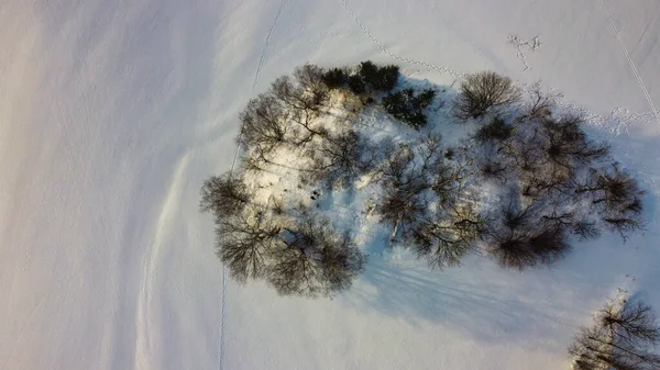 Aerial View Trees Snowy Meadow — Stock Photo, Image