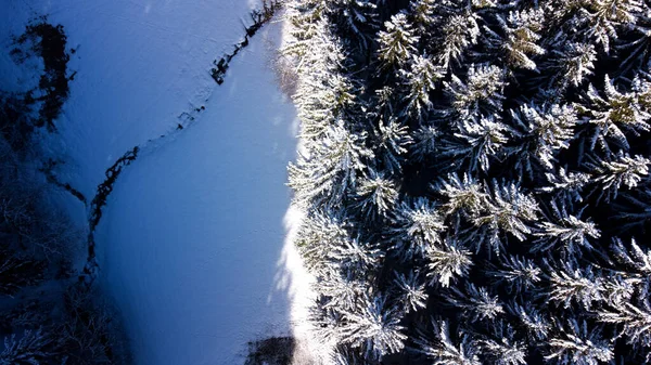 Вид Воздуха Замерзшую Реку Через Лес Снежных Елок Холодную Зиму — стоковое фото