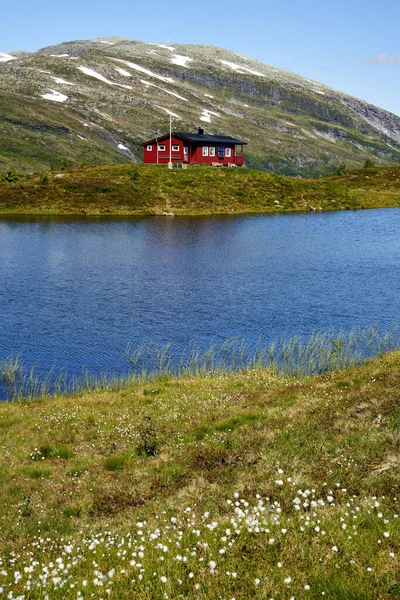 Vossevangen Norway Ιουλ 2020 Εκτεταμένη Κόκκινη Ξύλινη Καμπίνα Στη Νορβηγία — Φωτογραφία Αρχείου