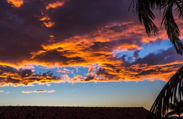 Piękna Sceneria Sunset Niebo Nad Krajobrazem Palmami — Zdjęcie stockowe