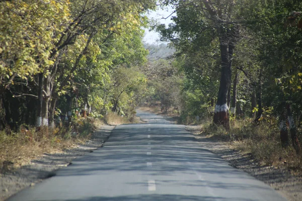 Uma Estrada Asfalto Vazia Através Florestas — Fotografia de Stock