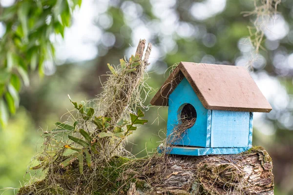 Uma Pequena Casa Pássaros Azul Fundo Embaçado — Fotografia de Stock