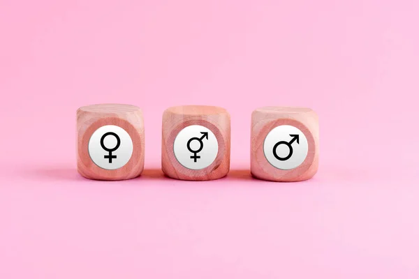 Гендерные Знаки Деревянных Блоках Изолированы Розовом Фоне — стоковое фото