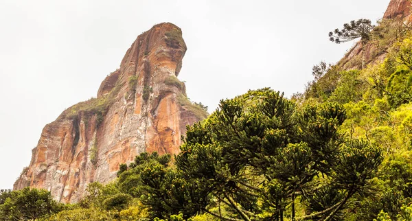 Une Belle Vue Pedra Aguia Urubici Brésil Avec Des Plantes — Photo