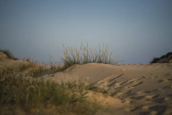 Eine Menschenleere Landschaft Unter Klarem Himmel Einem Sonnigen Tag — Stockfoto