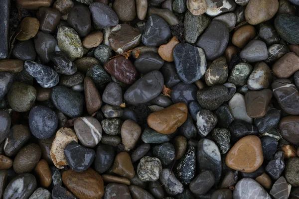 Tiro Perto Uma Pilha Pedras Marinhas Seixos — Fotografia de Stock