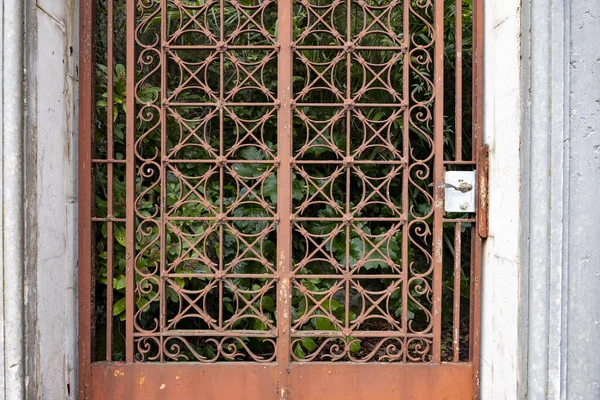 Une Clôture Métallique Avec Motif Géométrique Contre Buisson Vert Feuillu — Photo