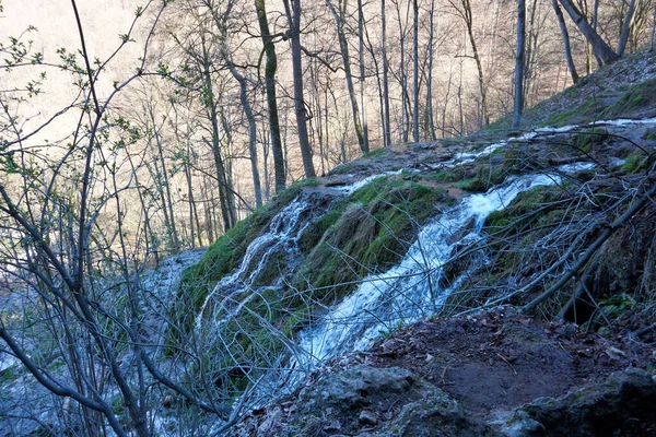 Plano Vertical Una Bonita Cascada Alemania —  Fotos de Stock
