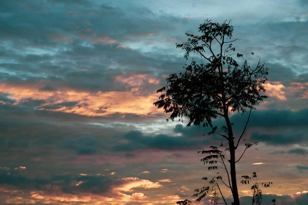 Krásný Záběr Siluety Osamělého Stromu Proti Barevné Zamračené Obloze Západu — Stock fotografie