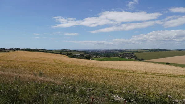 Breathtaking View Brighton Woodingdean Golden Field — Stock Photo, Image