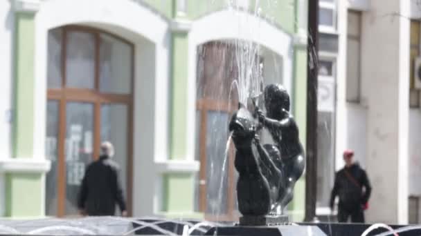 Daytime Shot Fountain Youth Sead Ekmecic Brcko District Bosna Hercegovina — Stock video