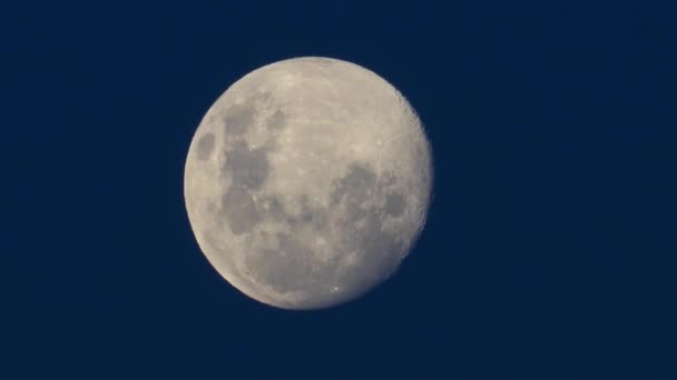 Luna Piena Nel Cielo Notturno — Video Stock