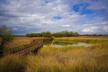 A horizontal shot of a wooden walkway bridge on the river with dry grass in the foreground, Tablas de Daimiel National Park, Spain clipart