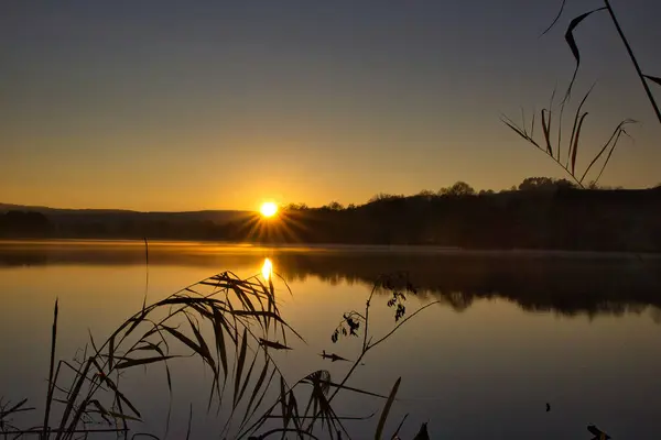 美丽的落日笼罩在平静的湖面上 芦苇在前方 — 图库照片
