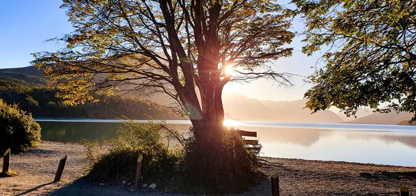 Piękny Krajobraz Drewnianej Ławki Pod Drzewem Parku Jeziora Zachodzie Słońca — Zdjęcie stockowe