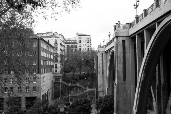 Grayscale Záběr Budov Ponurý Den Retiro Parku Madridu Španělsko — Stock fotografie