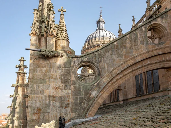 Uma Bela Vista Catedral Salamanca Região Castela Leão Espanha — Fotografia de Stock